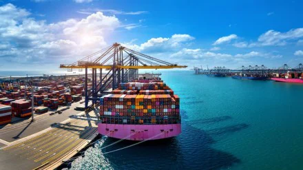 Export Markets